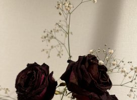 �Ҥ��*�������Υĥ�����