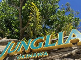 �Ҥ��*�������Υĥ�����