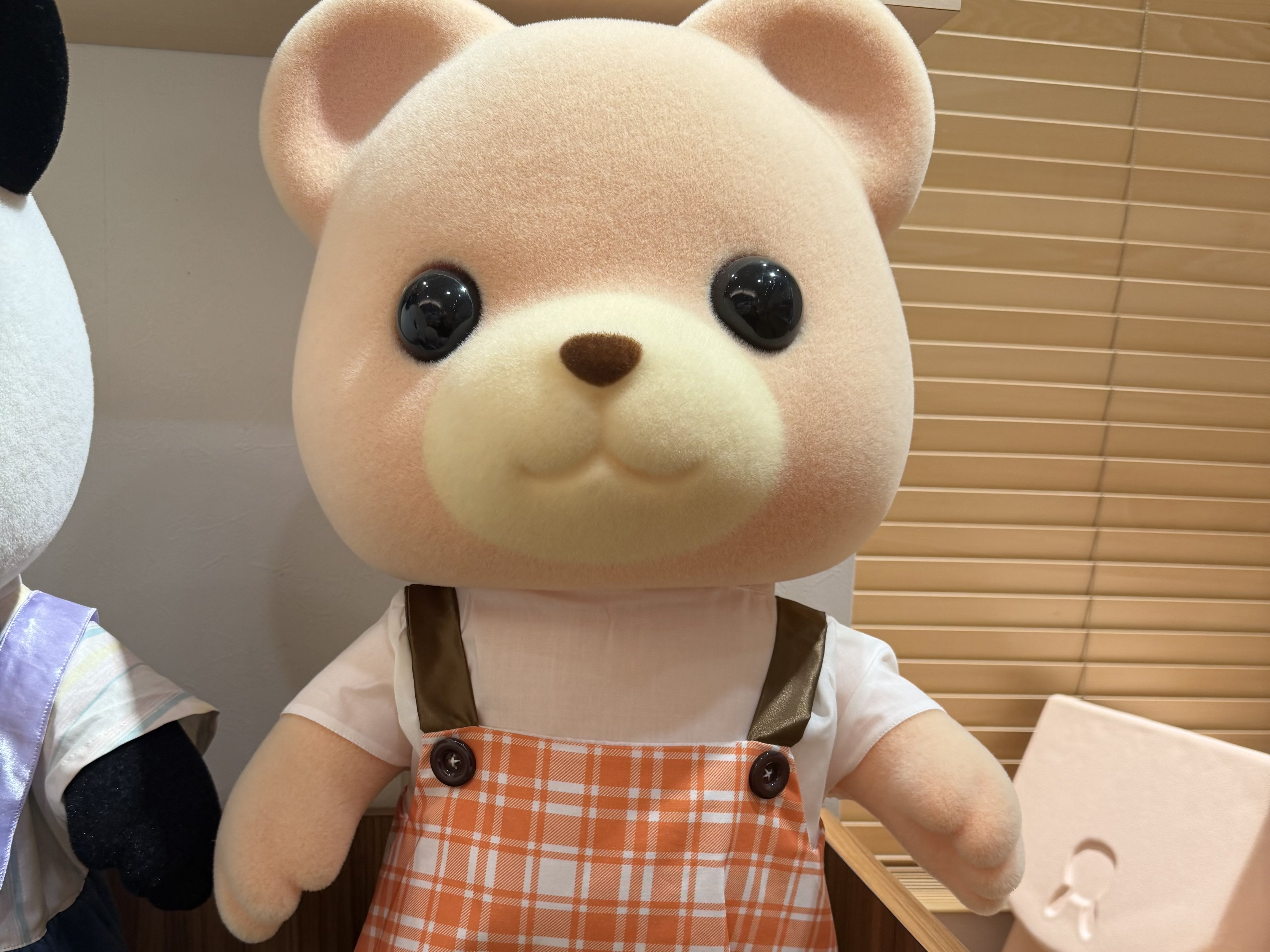 ����+�������Υĥ�����