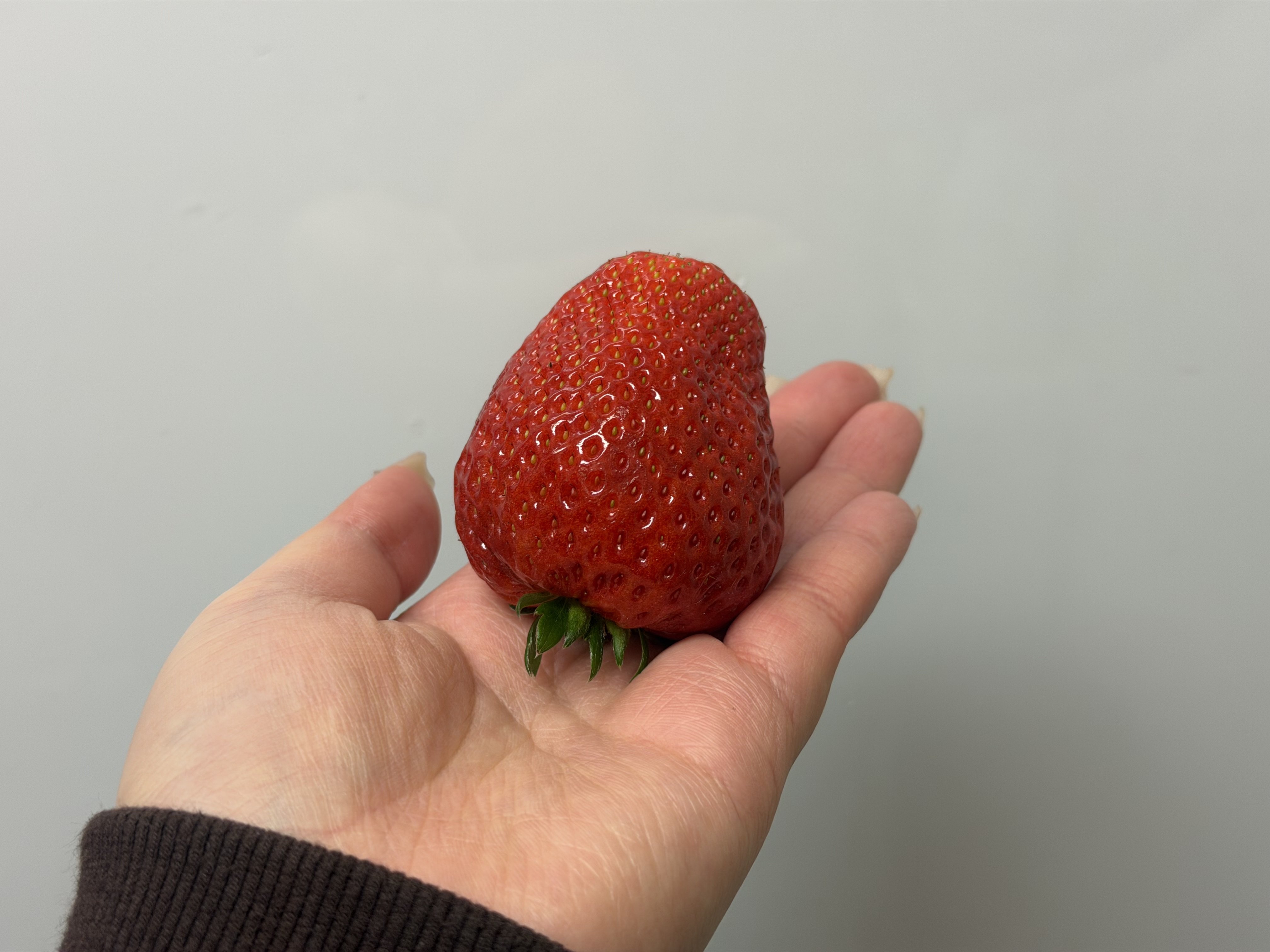 ����+�������Υĥ�����