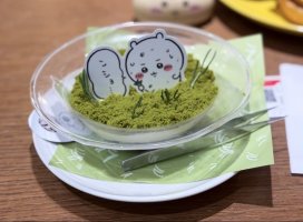 ����+�������Υĥ�����