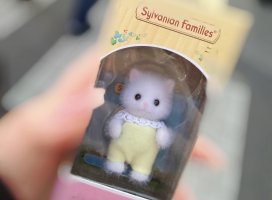 ちえ+。ちゃんのツイート