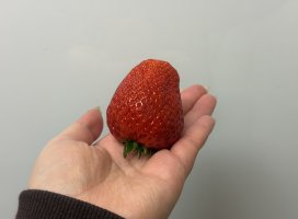 ����+�������Υĥ�����