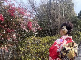 �ޤ���������Υĥ�����