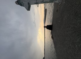 �ޤ���������Υĥ�����