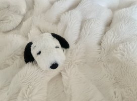 ��ʤ����Υĥ�����