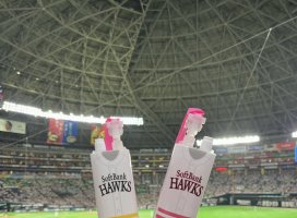 �����������Υĥ�����