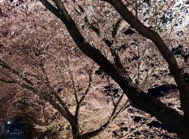 �Ĥम///�����Υĥ�����