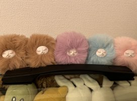 �ۤ�������Υĥ�����