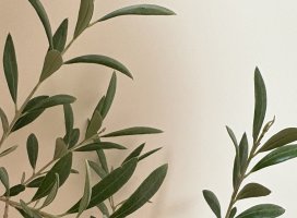 �ޤ��Ӥ����Υĥ�����