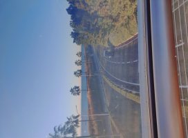 ゆかちゃんちゃんのツイート