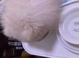 ��ʤ����Υĥ�����