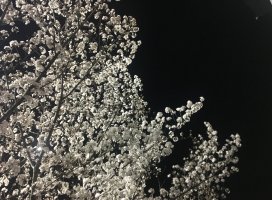 �ߤ�*+*�����Υĥ�����