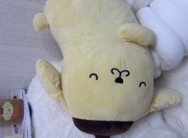 *+�������������Υĥ�����