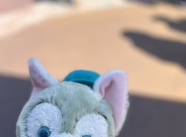 �ߤߤ����Υĥ�����