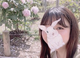 ���Ρ���*�����Υĥ�����