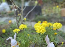 えみ♪☆彡ちゃんのツイート