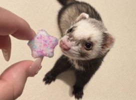 ふみちゃんのツイート