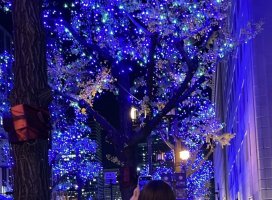 ひまり+*ちゃんのツイート