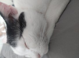 ゜☆ひなた☆ちゃんのツイート