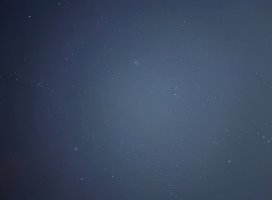 るるちゃんのツイート
