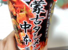 ����+*�ܤ����Υĥ�����