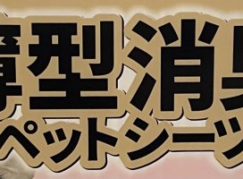 ちり田。ちゃんのツイート