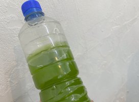 ★さえ★ちゃんのツイート