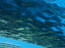 �Ĥ��ߤ����Υĥ�����