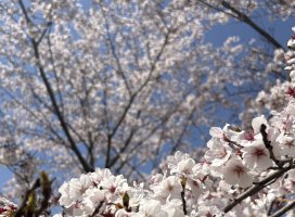 ������Υĥ�����