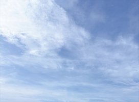 ももちゃんのツイート