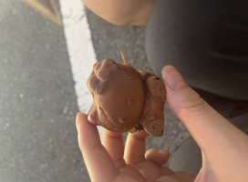 こはく+.ちゃんのツイート