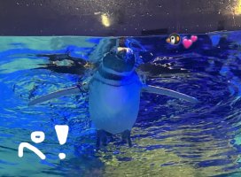 ゆあ＊*ちゃんのツイート