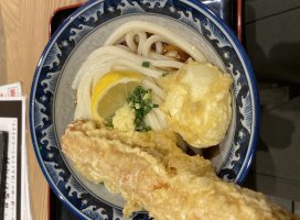 またたびちるちゃんのツイート