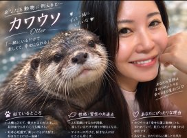 ゆりこちゃんのツイート