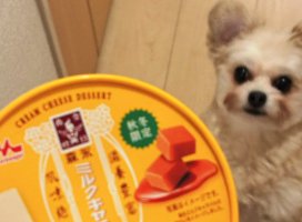 ゆにちゃんのツイート