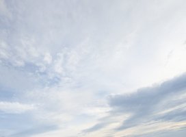 。+なみ*ちゃんのツイート