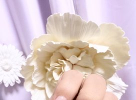 ゆあなちゃんのツイート